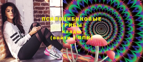 PSILOCYBIN Богородицк