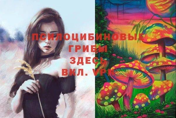 PSILOCYBIN Богородицк